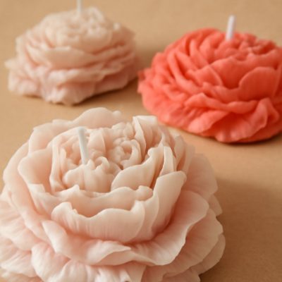 WhatsApp Image 2026-01-13 at 21.27.21 (2)